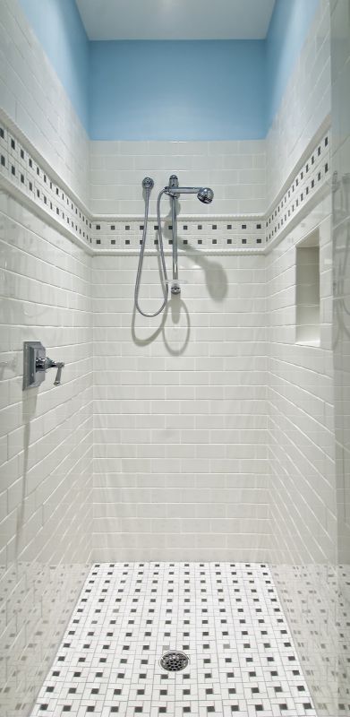 Multi-Function Shower System
